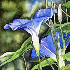 Morning Glory By Brenda Jiral Flower Art Morning Glory Flowers Watercolor Flowers