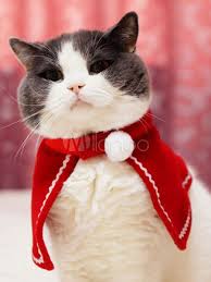 Cat Halloween Costume Santa Clause Red Cape Pet Costumes Halloween Cat Christmas Costumes Pet Costumes Christmas Cats