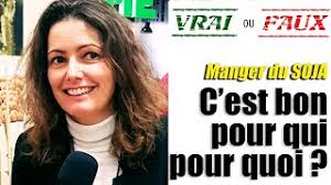 Manger du Soja c'est bon pour qui, pourquoi ? Made in France,  Déforestation, OGM... Vrai ou Faux ?