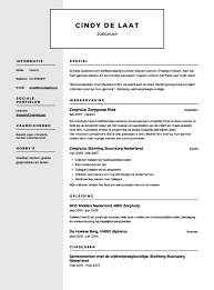 Zorghulp Cv Voorbeeld 12x Voor Een Perfect Cv Solliciteer Net