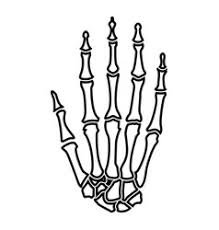 Bone Hand Carpal Vector Images Over 120 The hand skeleton from the bodyparts3d database, using tizeta's cut down import into.