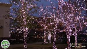 Christmas light pros' is an amazing group! What Is The Most Popular Led Christmas Light Set Style Youtube