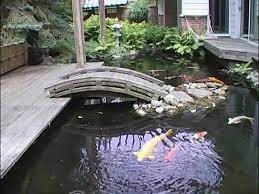 Check spelling or type a new query. Tom Burton S Pond Youtube