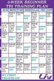 This article provides a sample swim training plan for three common triathlon race distances—sprint, olympic and 70.3—to help you get up and running—or rather swimming—in no time. 9 Driekamp Ideas Triathlon Training Sprint Triathlon Training Triathlon Motivation