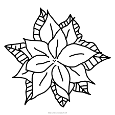 Thankful personalized placemat $24.95 new. Poinsettia Coloring Page Ultra Coloring Pages