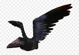 Maybe you would like to learn more about one of these? Argentavis Taming Calculator Argentavis Ark Hd Png Download 700x504 5971951 Pngfind