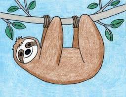 How To Draw A Sloth Art Projects For Kids Sloth Art Sloth Drawing Art Drawings For Kids