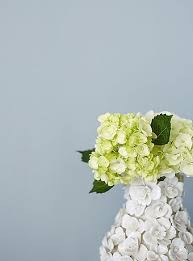 Whole House Color Scheme Paint Colors Kitchens Remodels Wall Painting Wall Colors Stone Color