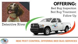 Maybe you would like to learn more about one of these? Mde Pest Control Services Termite Services Serving Greenville And Spartanburg