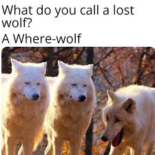 Because dad jokes aren't like regular jokes. Dad Jokes Anyone Memes