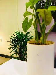 And support the businesses and communities near you hardest hit by the pandemic. Campaign Lakme Salons Push For Sustainable Beauty Marketing Advertising News Et Brandequity