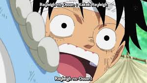 One Piece Episode 507 Subtitle Indonesia Nasi