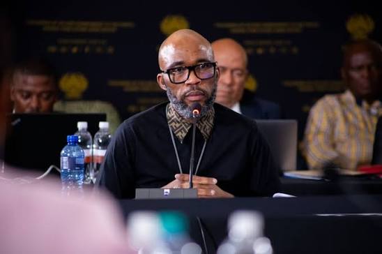Vusimuzi Matlala disputes Brown Mogotsi WhatsApps as MPs press on drug links