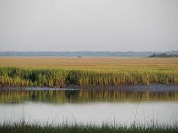 Book your hotel in lowcountry online. South Carolina Lowcountry Wikipedia