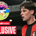 Exclusive: Bournemouth's Scott lucky after malicious revenge incident v  Germany