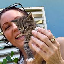 Heard a cocktail whisling in a tree across from my house so I went to find  him , there he sits way high up in tree don't know if I can coax