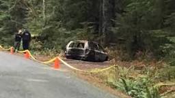 Image of Mt St Helens bodies