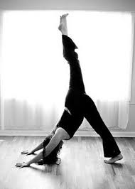 Downward Facing Dog Yoga Aerial Yoga Yoga Asanas
