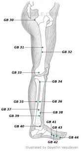 Acupressure Points Chart Acupressure Treatment