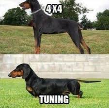 4x4 Tuning Funny Animal Pictures Funny Animals Funny P