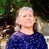 Carmen Avila Ochoa Obituary