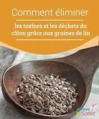 Conseils Pour Eliminer Les Toxines Du Colon Et Eviter Des Malades Intestinales Graine De Lin Pour Maigrir Conseils Alimentaires
