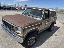 Image result for Fawn 1981 Bronco