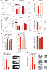 Mouse Anti Human Ki67 Antibody