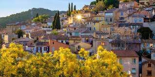 Image result for Mimosa 1989 Tracer