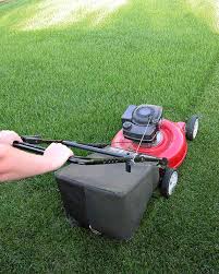 I have about 70% good turf, the rest is. How To Overseed Or Reseed Your Lawn