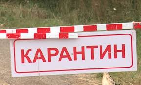 Меркель продлила карантин и ужесточила ограничения на пасху общенациональный режим карантина в германии продлили до 18 апреля. V Kerchi Vveli Karantin Iz Za Vnezapnogo Nashestviya Vreditelej