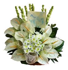 We did not find results for: White Anthuriums Basket Spray Delivery To Metro Manila Philippines