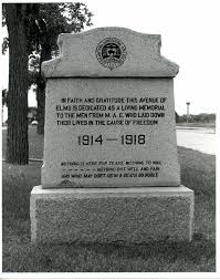 The U of M's 'Avenue of Elms'