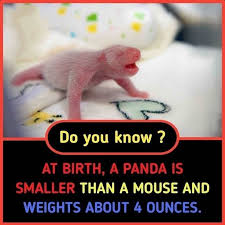 29 Unbelievable Animal Facts True Interesting Facts Amazing Facts For Students Did You Know Facts