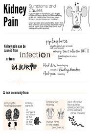 Pin On Healing Kidney Stones