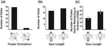 Introduces students to evolutionary trees using an interactive simulation of columbine flower diversification. Http Campus Lakeforest Edu Menke Pdfs Bio220 Labs St Flowerstrees 2016 Pdf