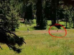 Fat sex position free watch JAV Taboo Sex with My