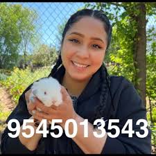 The 10 Best Handwriting Tutors in Smyrna, GA (2025)