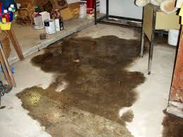 Maybe you would like to learn more about one of these? Rotting Basement Floors Basement Flooring Damaged By Rot Mold Water