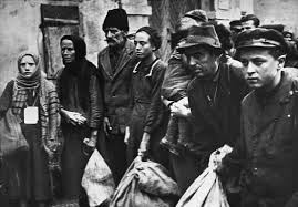 Er ging immer noch davon aus, dass hitler vor allem an territorialen zugewinnen interessiert sei, dafür zwar einen krieg in kauf nehmen, ihn aber zweiter weltkrieg leserfrage. Weltkrieg Zweiter Aeiou Osterreich Lexikon Im Austria Forum
