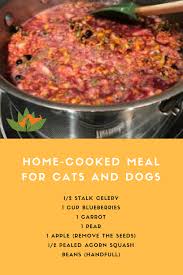 Home Cooked Pet Meals It S Easy Healthy Dog Food Recipes Vegetarian Dog Food Recipe Healthy Cat Food