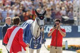 Als eberhofer alexandra kleindienst im büro der immonovum antrifft, lässt sie ihn wissen, dass sie in einer verlassenen kirche ein geständnis ablegen möchte. Alles Easy Szene News Reiterrevue International