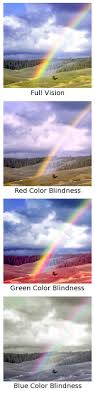 What does color blind look like. Why Can T Color Blind People See Any Colors Science Questions With Surprising Answers