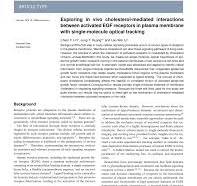 RSC Sustainability Template - Royal Society of Chemistry