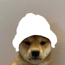 Then connect it to xbox one, and leave it as is. Dogwifhat Know Your Meme