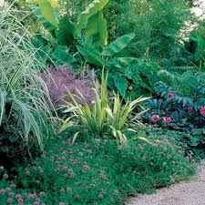 When you look at each photo, imagine the front yards if they didn't have gardens. Designing With Spiky Plants Finegardening