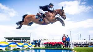 Check spelling or type a new query. 20 Peder Fredricson Ideas Horses Rider Show Jumping