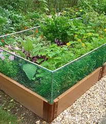 It can be particularly effective for large open areas. 23 Garden Screening Ideas Garden Screening Garden Vegetable Garden