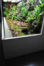 Forest Floor Gecko Terrarium Reptile Terrarium Leopard Gecko Terrarium