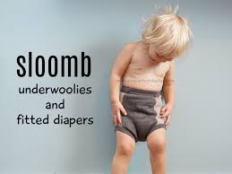 Giveaway About Sloomb Bamboo Fleece Fitted Diaper